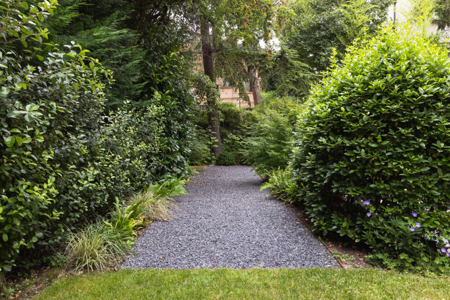 michele-mignani-via-masi-HR-0005