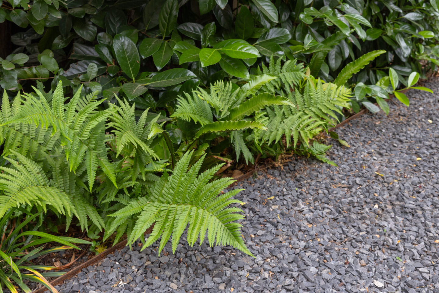 michele-mignani-via-masi-HR-0010