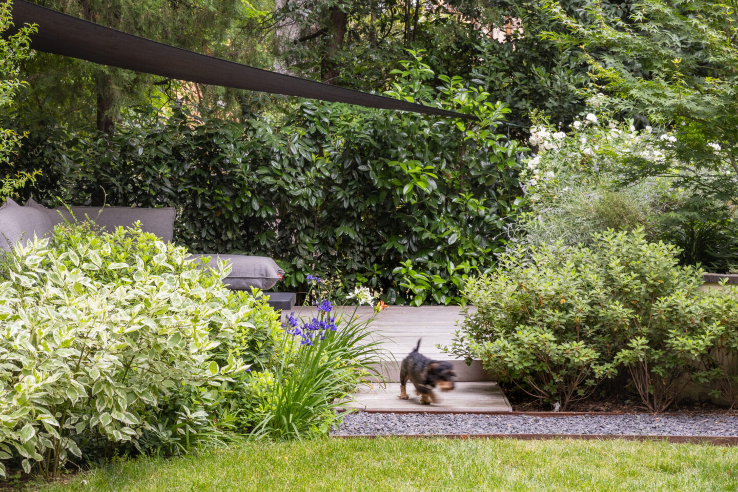 michele-mignani-via-masi-HR-0024