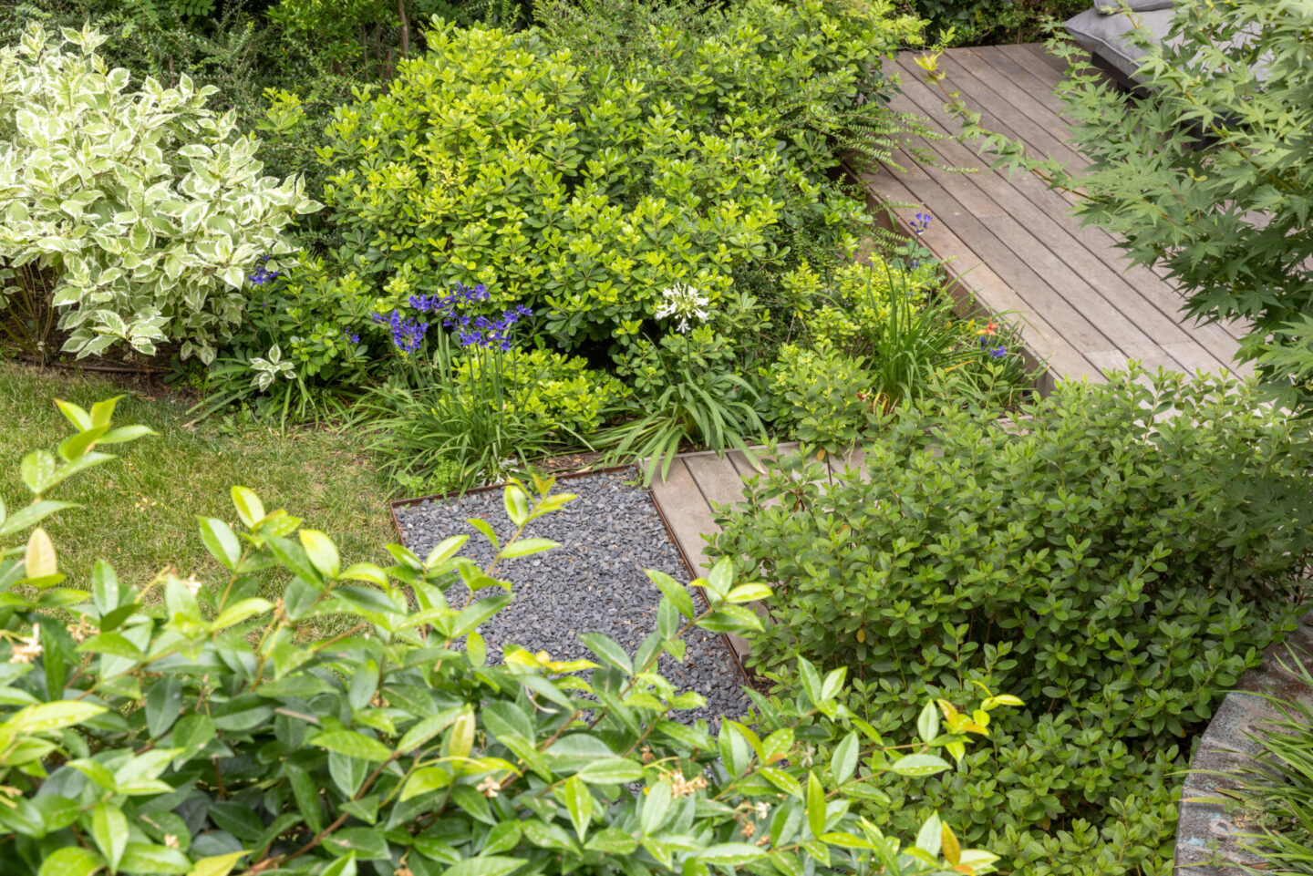 michele-mignani-via-masi-HR-0029