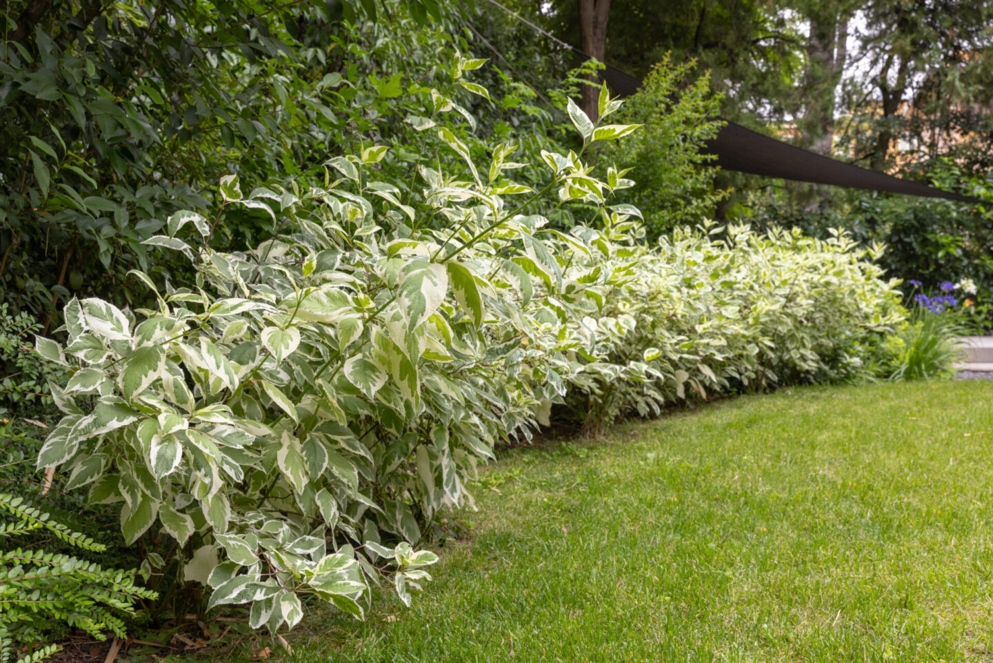 michele-mignani-via-masi-HR-0033