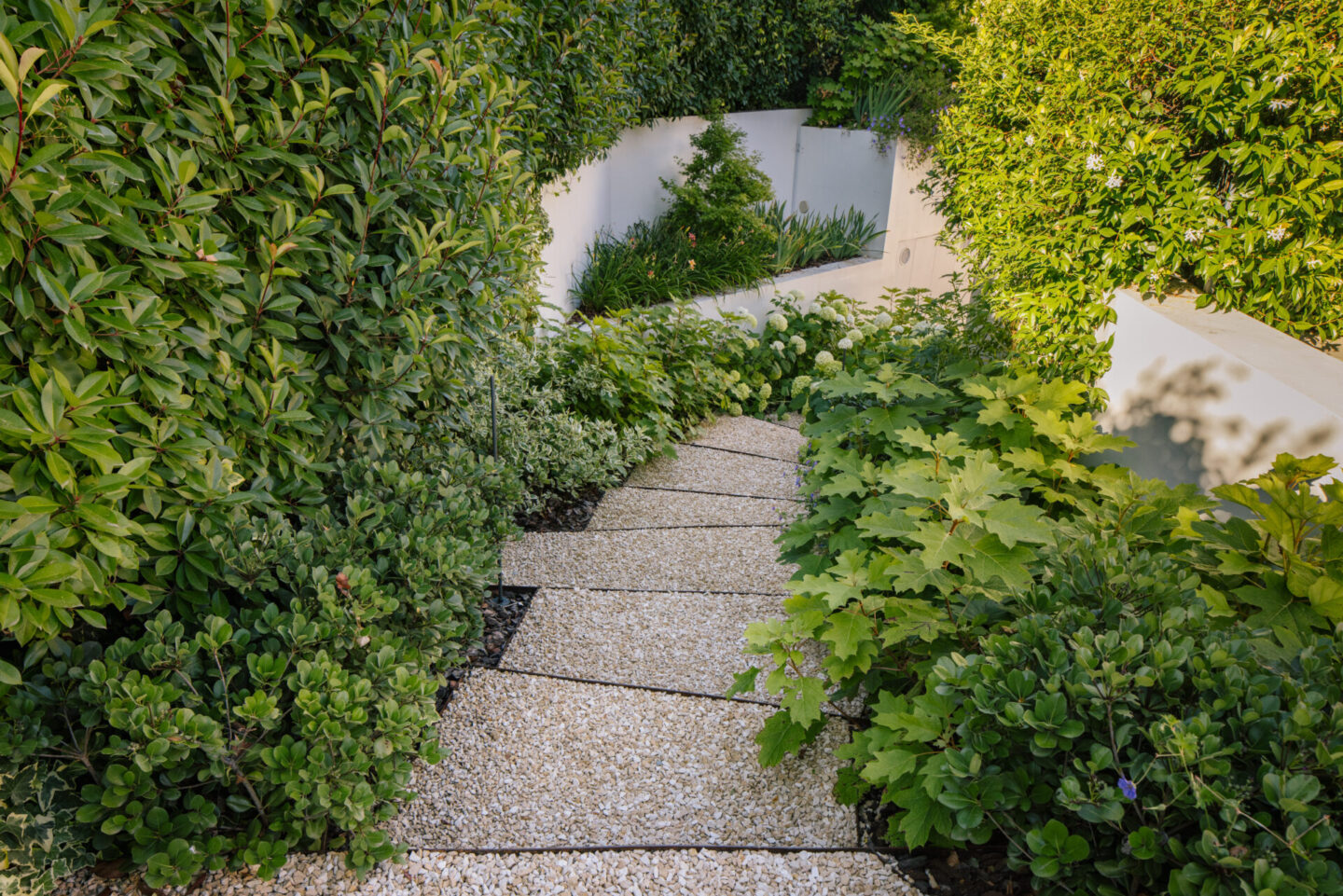 michele-mignani-via-rigosi-2024-HR-0009