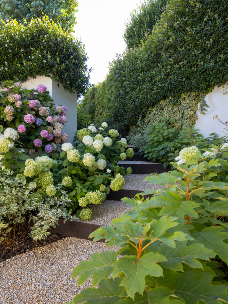 michele-mignani-via-rigosi-2024-HR-0011