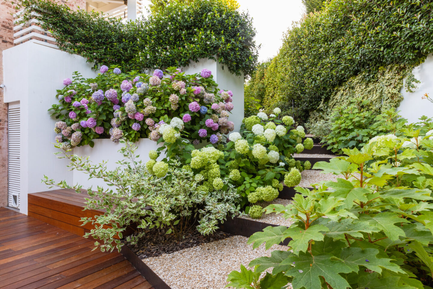 michele-mignani-via-rigosi-2024-HR-0042