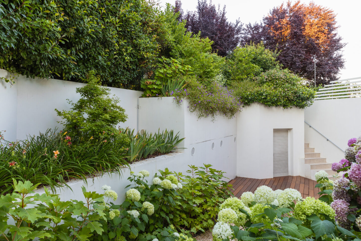 michele-mignani-via-rigosi-2024-HR-0043