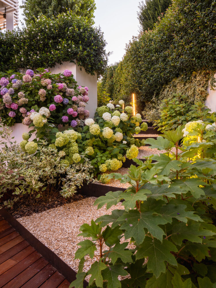 michele-mignani-via-rigosi-2024-HR-0063